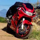 Honda cbr f3 600